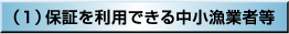 （1）保証を利用できる中小漁業者等 